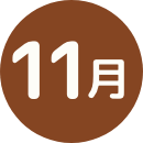 11月